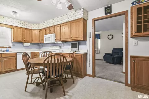 3309 E Carpenter St, Springfield, IL 62702 photo 8