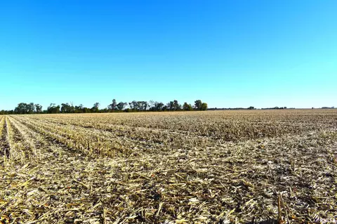 2000 E Rd, Saint Peter, IL 62880 photo 8