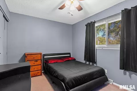 20 Crusaders Rd, Springfield, IL 62704 photo 19