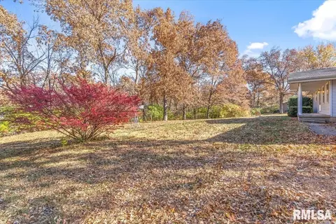 3898 Radford Rd, Springfield, IL 62707 photo 47