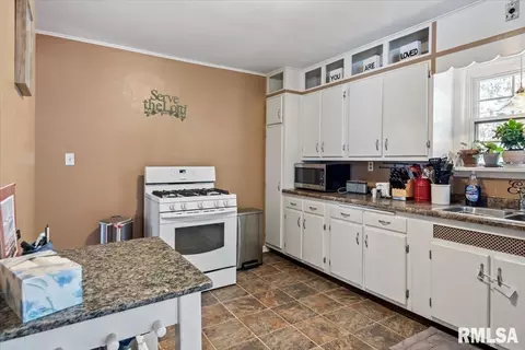520 S Amos Ave, Springfield, IL 62704 photo 11
