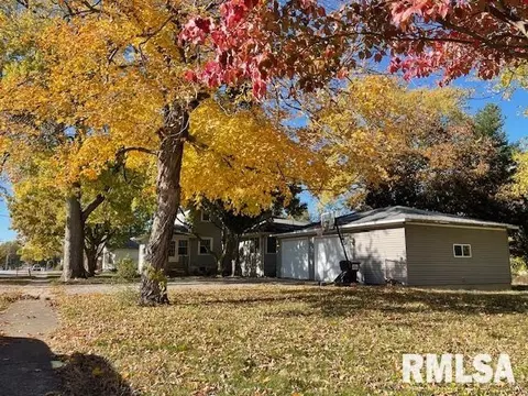 Exterior - 207 E Cherokee St, Morrisonville, IL 62546 photo 15 of 16