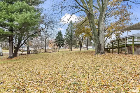 Exterior - 207 E Cherokee St, Morrisonville, IL 62546 photo 9 of 16