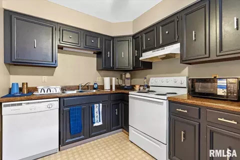 102 W Scarritt St, Springfield, IL 62704 photo 6