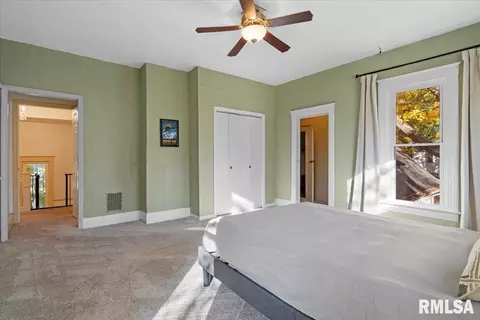 342 S Douglas Ave, Springfield, IL 62704 photo 23