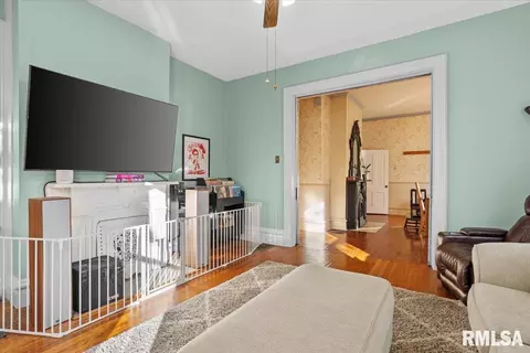 342 S Douglas Ave, Springfield, IL 62704 photo 7
