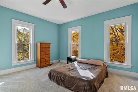 342 S Douglas Ave, Springfield, IL 62704 photo 24