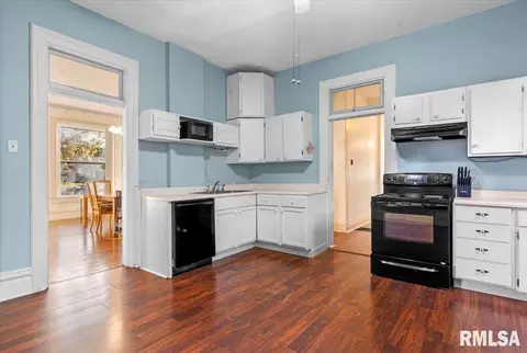 342 S Douglas Ave, Springfield, IL 62704 photo 9