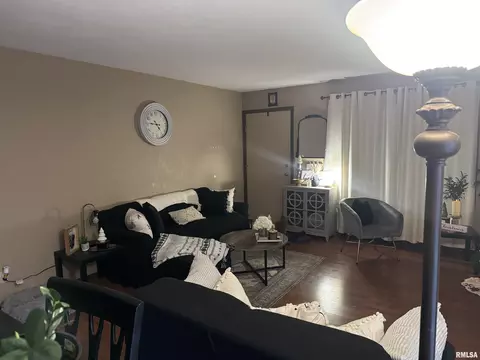 42 Brookside Pl, Springfield, IL 62704 photo 3