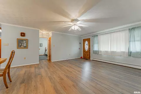Living - 320 E Jasper St, Mount Pulaski, IL 62548 photo 2 of 2