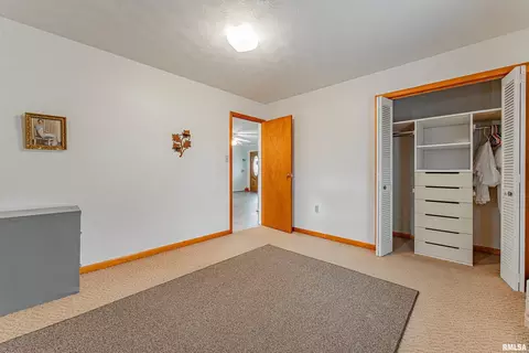Other - 320 E Jasper St, Mount Pulaski, IL 62548 photo 3 of 12