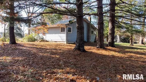 7319 Malone Rd, Alma, IL 62807