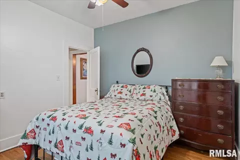 1418 S Douglas Ave, Springfield, IL 62704 photo 21