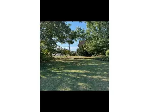 216 N Amos Ave, Springfield, IL 62702 photo 19