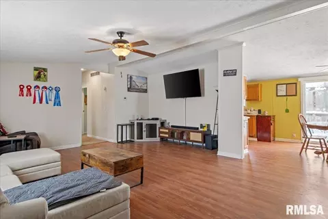 Other - 367 E Oak St, Hettick, IL 62649 photo 4 of 18