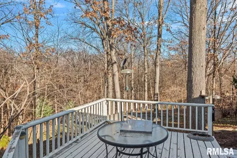 2553 Chapel Hill Dr, Springfield, IL 62702 photo 50