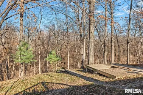 2553 Chapel Hill Dr, Springfield, IL 62702 photo 54
