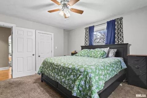 900 Griffiths Ave, Springfield, IL 62702 photo 17