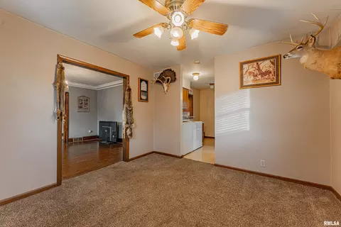 214 N Maple Ave, Minier, IL 61759 photo 16