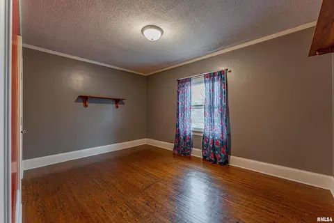 214 N Maple Ave, Minier, IL 61759 photo 29