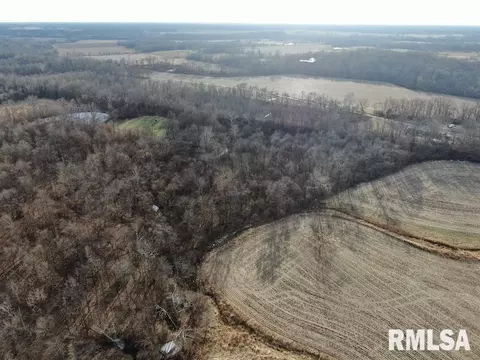 3720 N Preston St, Paris, IL 61944 photo 8