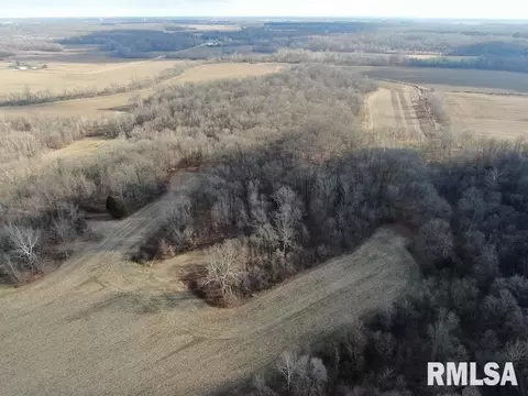 000 E Clark Rd, Marshall, IL 62441 photo 5