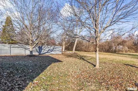 2337 Grinnell Dr, Springfield, IL 62704 photo 38