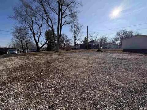 Exterior - 307 Clinton St, Avon, IL 61415 photo 4 of 4