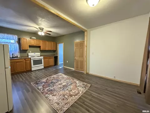 Other - 307 Clinton St, Avon, IL 61415 photo 6 of 7