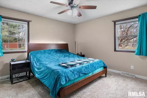 23171 Buelah Dr, Athens, IL 62613 photo 18