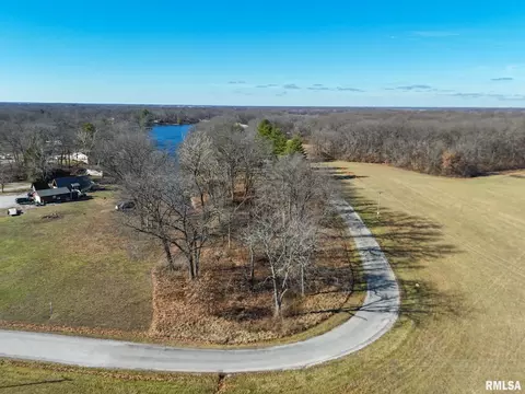 Lake Catatoga Drive, Plainview, IL 62685 photo 3