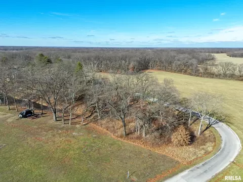 Lake Catatoga Drive, Plainview, IL 62685 photo 2