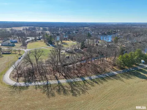 Lake Catatoga Drive, Plainview, IL 62685 photo 4