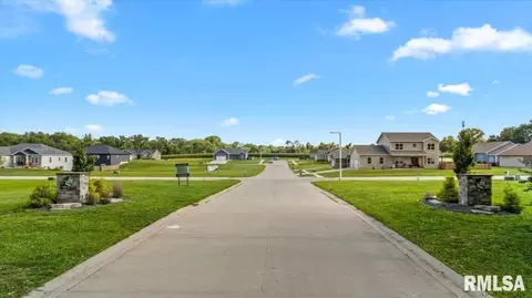 51 Firefly Ct, Chatham, IL 62629 photo 4