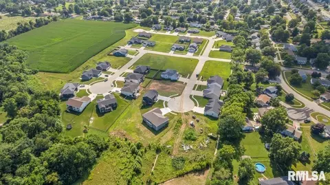 51 Firefly Ct, Chatham, IL 62629 photo 6