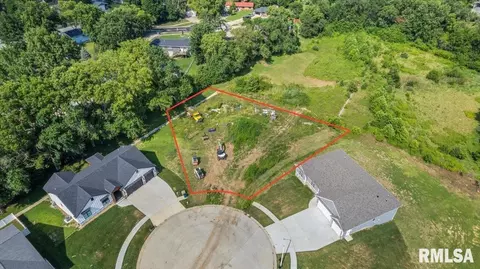 51 Firefly Ct, Chatham, IL 62629 photo 3