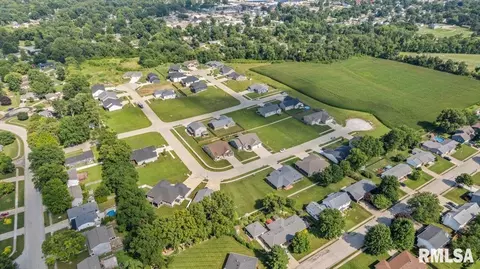 51 Firefly Ct, Chatham, IL 62629 photo 7