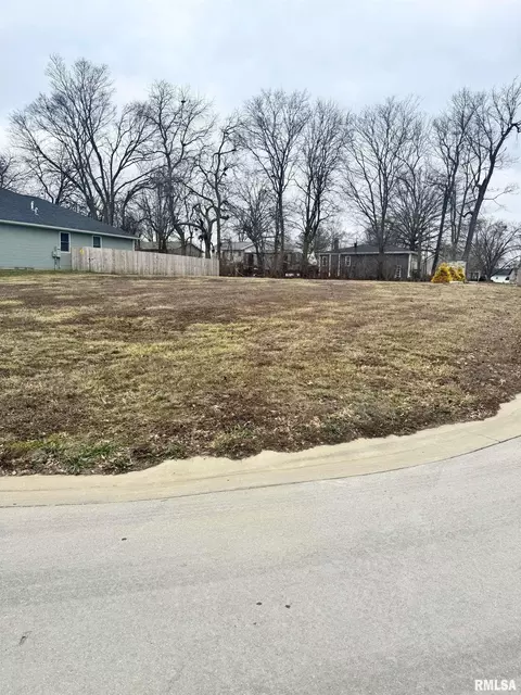 75 Firefly Ct, Chatham, IL 62629 photo 3