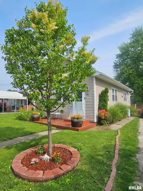 Exterior - 204 W School St, Camp Point, IL 62320 photo 3 of 4