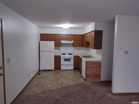 Other - 555 Madison St, Riverton, IL 62561 photo 6 of 6
