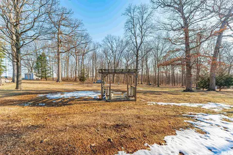 Exterior - 194 Timber Ln, Mount Pulaski, IL 62548 photo 9 of 9