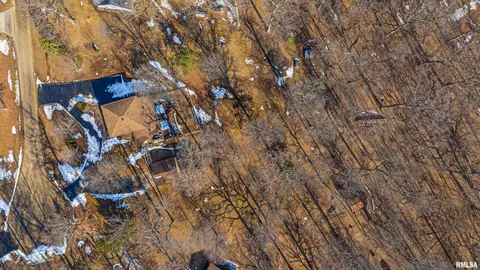 View/Area - 194 Timber Ln, Mount Pulaski, IL 62548 photo 4 of 7