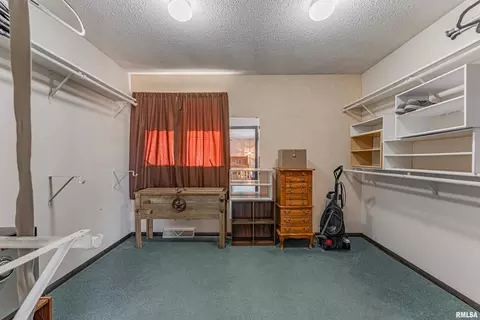 Other - 194 Timber Ln, Mount Pulaski, IL 62548 photo 5 of 10