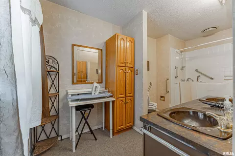 Other - 194 Timber Ln, Mount Pulaski, IL 62548 photo 4 of 10