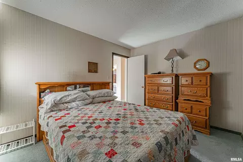 Bedroom - 194 Timber Ln, Mount Pulaski, IL 62548 photo 4 of 6