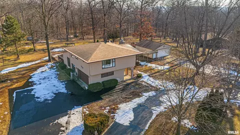View/Area - 194 Timber Ln, Mount Pulaski, IL 62548 photo 3 of 7