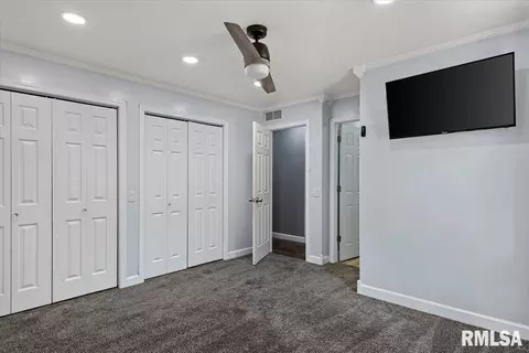 Other - 617 E Chestnut St, Chatham, IL 62629 photo 7 of 14