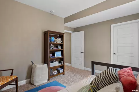 709 S Douglas Ave, Springfield, IL 62704 photo 29