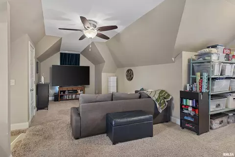 709 S Douglas Ave, Springfield, IL 62704 photo 33