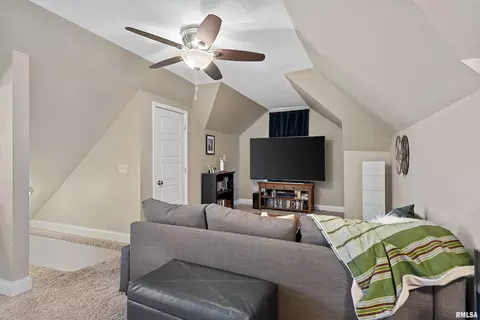 709 S Douglas Ave, Springfield, IL 62704 photo 34